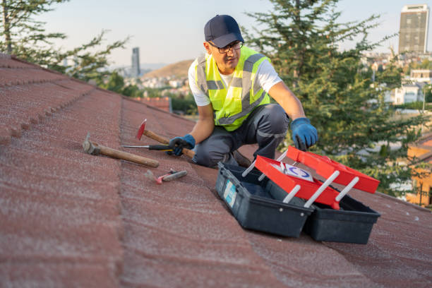 Best Historical Building Siding Restoration  in Mayo, MD